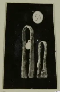 Two bent bronze tools on a black background, with a round number label above them