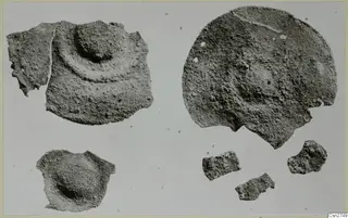 Fragments of bronze tools, corroded and encrusted, photographed on a pale ground