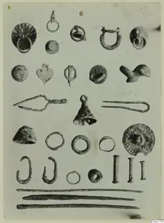 Small corroded metal objects, including rings, pins, rods, hooks and a bell-shaped piece, arranged in rows on a pale ground