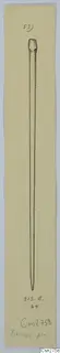 Drawing of a long slender bronze pin with a rounded head, on a cream card.