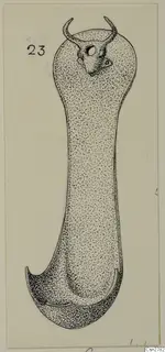 Drawing of a bronze utensil with a horned animal-head terminal