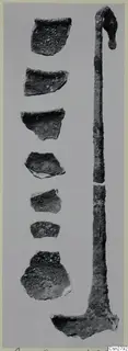 Seven corroded bronze sherds beside a long bronze implement with a hooked top and a flat expanded end.