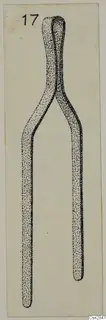 Drawing of a bronze toilet-requisite with a looped top and two long prongs