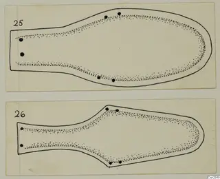 Drawing of two flat, elongated objects with stippled edges and dark dots, each on a card with a number label
