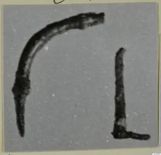 Two bronze objects, a curved rod and an L-shaped rod, photographed on a grey background