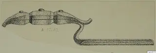 Stippled drawing of a bronze personal adornment with three bulging segments and a long curved arm.