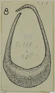 Drawing of a bronze personal adornment from Idalion: an open, crescent-shaped ring with tapering ends