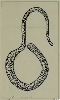 Ink drawing of a bronze personal adornment: a looped band with an upturned hooked end.