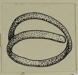 Ink drawing of a bronze ring-shaped object with an overlapping open loop, stippled to show metal.