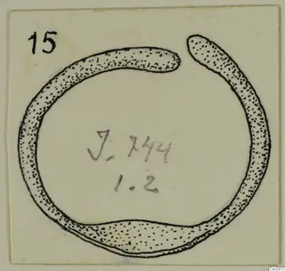 Drawing of a bronze ring with an open gap and a pencilled label reading J.744 in the centre.