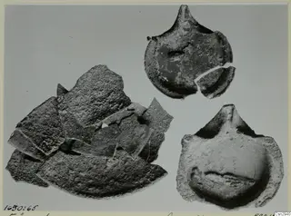 Pottery sherds and two round pieces with pointed projections, photographed before conservation