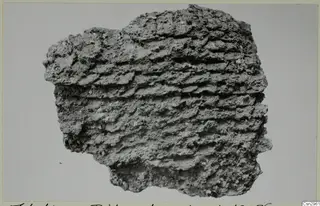 Crusted grey fragment with horizontal ridges, recorded as a piece of a mail shirt from Idalion