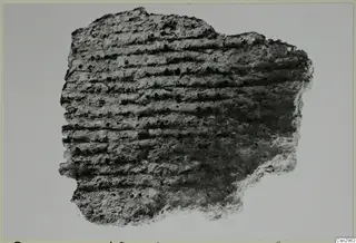 Irregular fragment with parallel horizontal ridges and small pits, photographed on a pale grey background