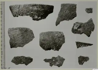 Ten pottery sherds of varied shapes laid out on a pale ground beside a measuring scale.