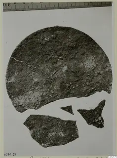 Large rounded pottery sherd with three smaller fragments lying flat on a pale background, with a measuring rule above