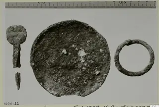 Corroded metal objects: a pin-like object with a short fragment, a large round disc and a ring, with a scale ruler above