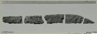 Five fragments of crumbly grey-brown material laid in a row on a grey backdrop, with a centimetre ruler along the top.