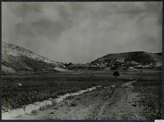 Dirt road with a low white stone wall running across a valley toward a hillside village on the Karpas peninsula.