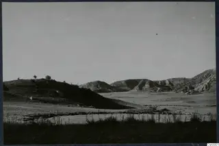 Open rocky landscape with low hills and a few scattered shrubs under a pale sky, on the Karpas peninsula