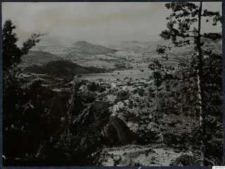 View over Machairas village, hills and plain, framed by pine trees in the foreground