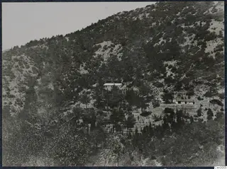 Steep wooded mountainside at Troodos Machairas with two low buildings among the pine trees.