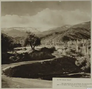 Winding road through a mountain valley, with a lone two-trunked tree, snowy peaks and a cluster of buildings
