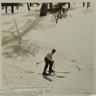 Skier on a snowy slope below pine trees, Troodos