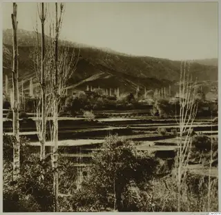 Mountain slopes above terraced fields, bushes and tall bare trees in the foreground, Machairas