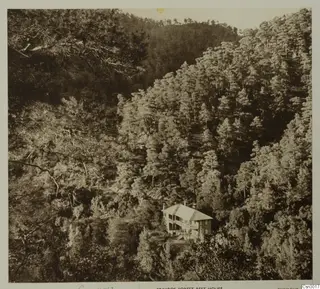 Stavros Forest Rest House, a two-storey building set among pine forest on a steep hillside