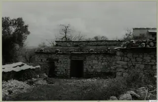 Stone building with a grass-covered flat roof and a doorway, beside a tree, in the Paphos area