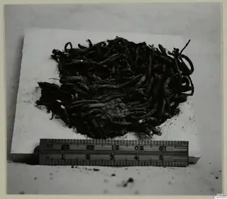 Fragments of a woven reed basket from Skouriotissa, lying on a pale block beside a ruler.