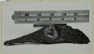 Corroded metal object with a rounded boss and tapering point, lying beside a folding ruler for scale