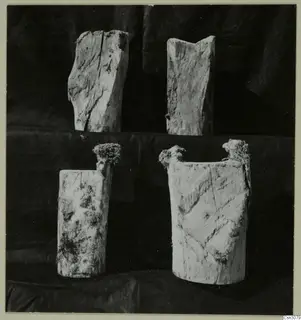 Four upper ends of ancient wooden parts, photographed against a black cloth backdrop