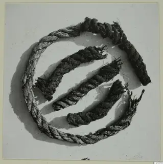 Fragments of ancient rope arranged on a pale surface, several pieces forming a loose circle.