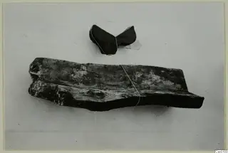 Wooden find from Cypriote mining: a V-shaped trough piece above a weathered wooden plank, on a pale background