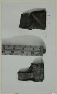 Two dark wooden fragments photographed with a ruler laid between them on a pale background