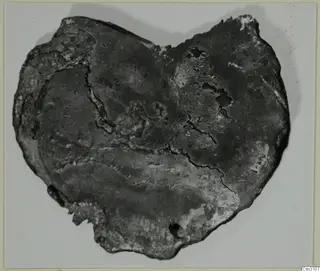Flat, heart-shaped object with a dark, cracked and crusted surface, photographed against a pale background