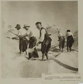 Five men winnowing grain with long wooden forks on a threshing floor, with chaff and dust drifting in the air.