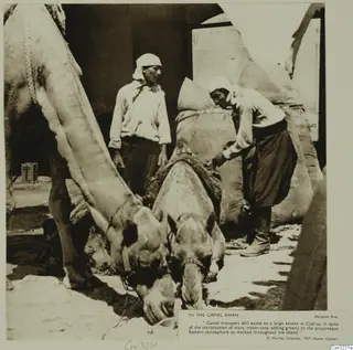 Two camels with lowered heads in a khan yard, with two men beside them and sacks piled behind