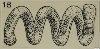 Drawing of a gold jewellery piece with a wavy, looped form and stippled shading
