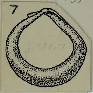 Ink drawing of a hoop-shaped gold ring from the Kastros tombs at Lapithos