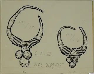 Ink drawing of two gold hoop jewellery pieces, each with a cluster of round pendants below