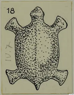 Field drawing of a flat, dot-filled object outline with a knob at the top and four projecting limbs.