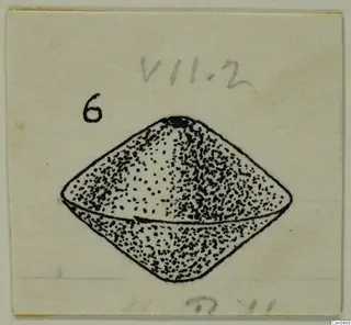 Field drawing of a small double-cone object with dense dotted shading and a handwritten number label