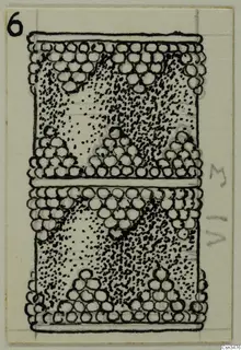 Ink drawing of a cylindrical object with beaded bands at top and bottom and a stippled centre, in two stacked sections