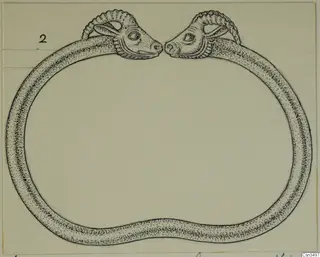 Ink drawing of a gold ring with two animal-head terminals facing each other at the top