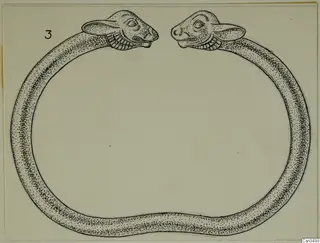 Drawing of a gold ring with two animal heads facing each other, from Vouni