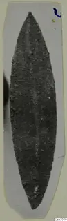 Corroded metal leaf-shaped object photographed on a pale card mount