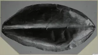 Oval piece of jewellery with a raised central ridge and a small hole near each pointed end