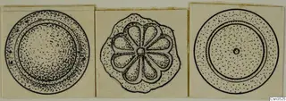 Drawing of three round gold jewellery pieces, the middle one with an eight-petalled rosette pattern